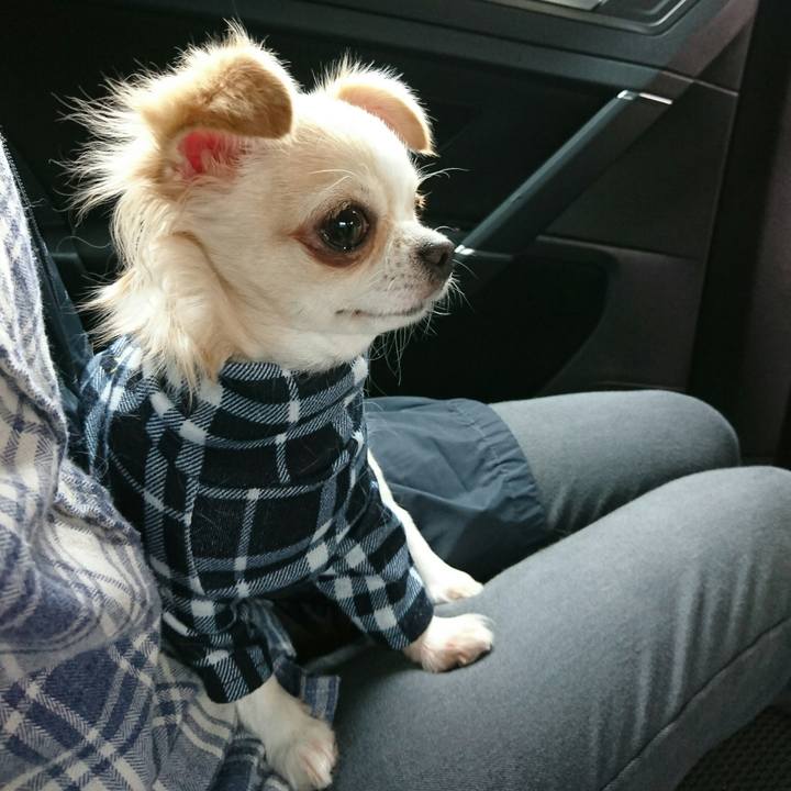 F2e07674 0480 4c6b 8c1b 84202ec6b8f2 1508073358712