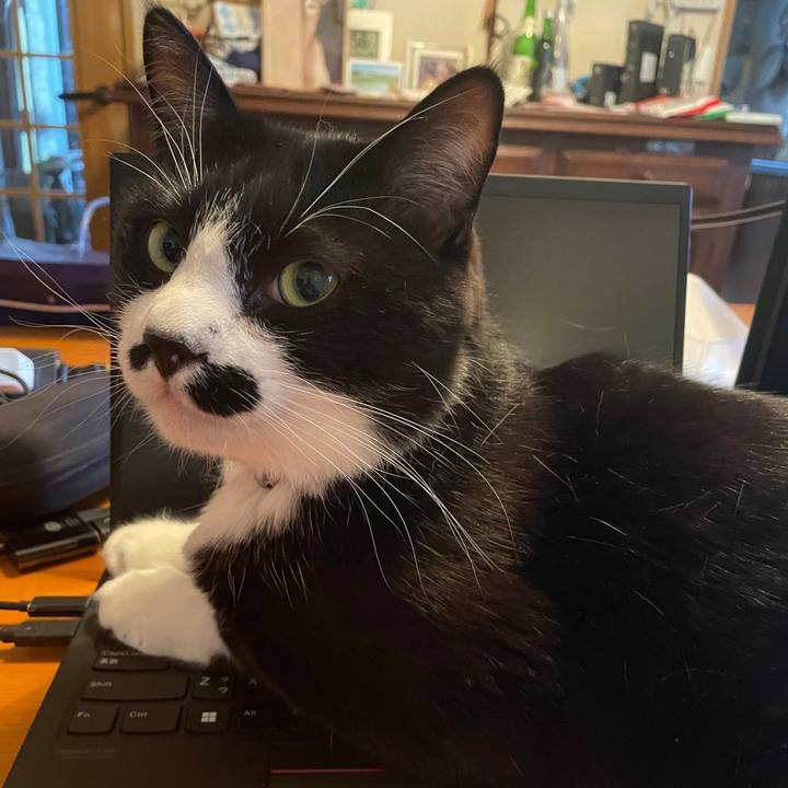 F2e07f13 d7dc 4c01 8480 4e73ea937676 1680162917772