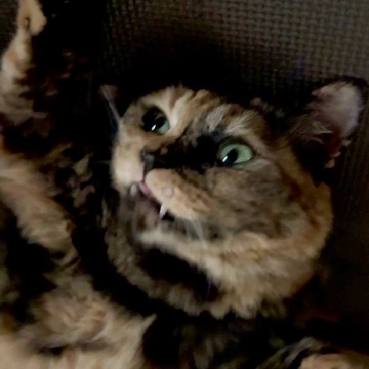 F2e11708 1086 480f b6b1 aee974005d9a 1752313333843