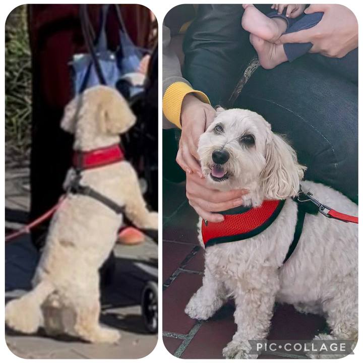 F2e12ebe 398b 44a5 abba 57acedede150 1762578673333