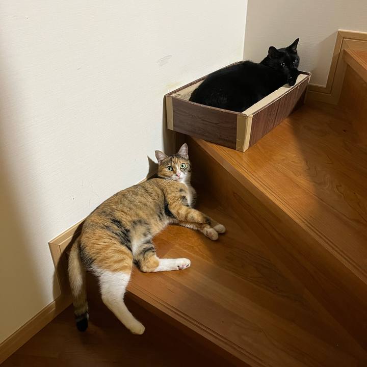 F2e15efd 3189 4804 979d c89ed71ec5e3 1660892488545