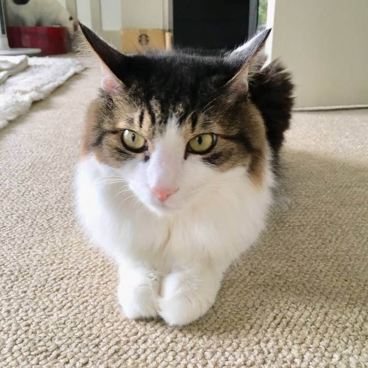 F2e16583 50ac 4d41 804f 2bb4085f4197 1536278879633