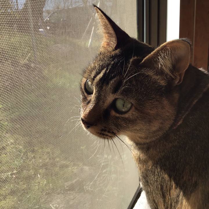 F2e16a2e be10 4a1f 8ce9 eb51e33ae3ee 1616712910178