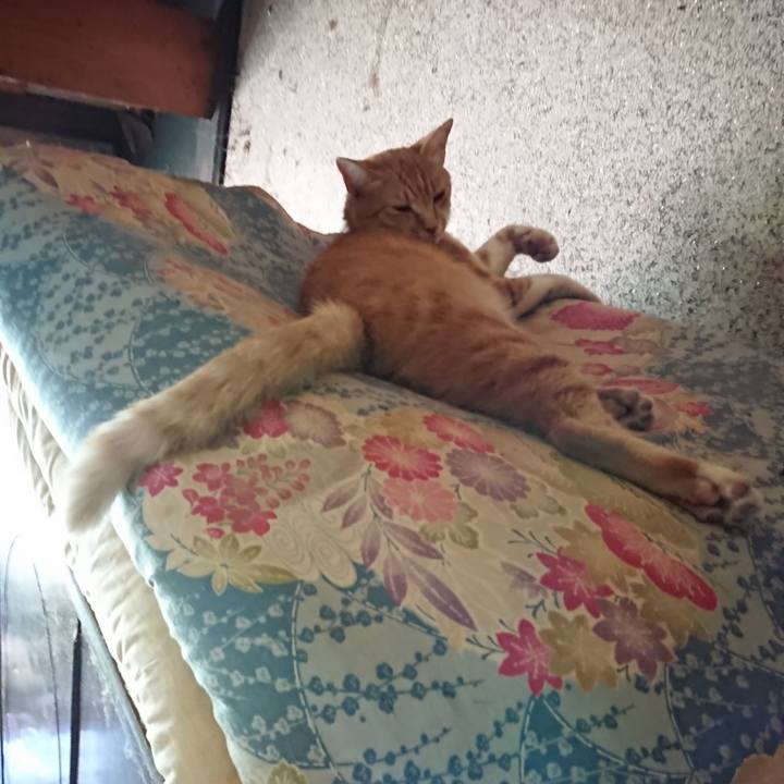 F2e17907 e24d 4823 af76 ba93db4a2fac 1595140378403