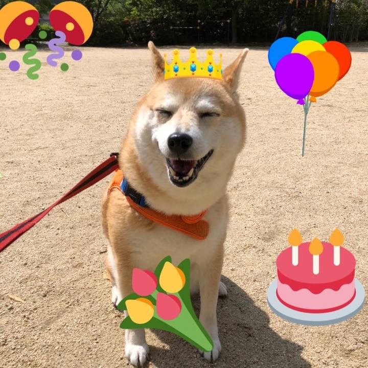 F2e196b1 92d6 4efe b715 b0e5d844f082 1589179032026