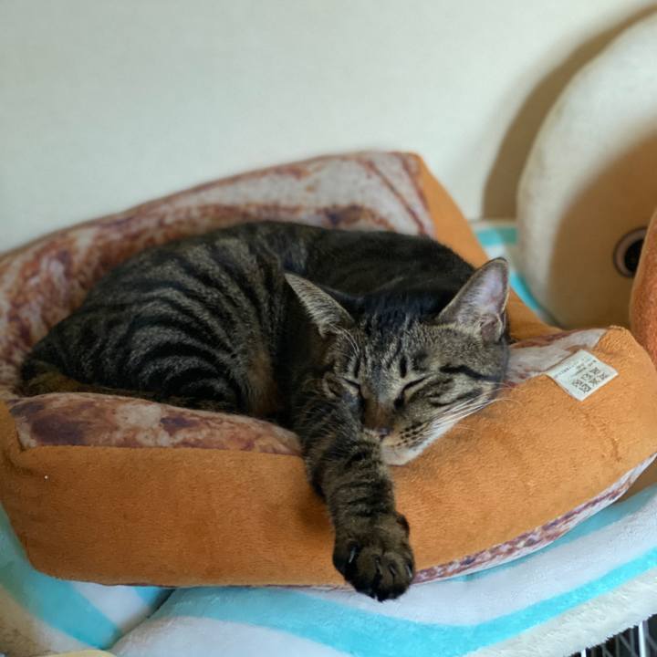 F2e207c3 0a17 4fbd 9246 0a3b01e4edc2 1575177868202