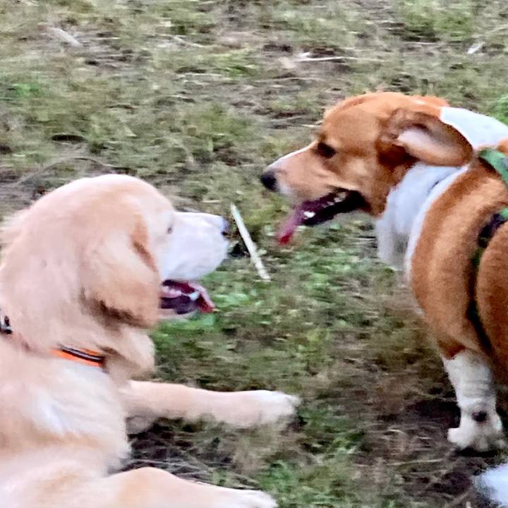 F2e21822 9e08 4b80 888b 2e2820e53442 1699614379674