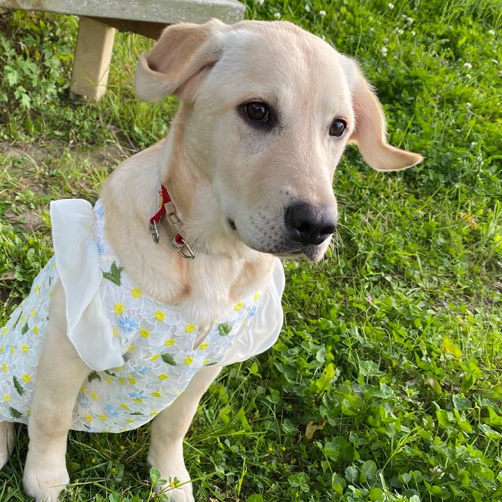 F2e25cac f35c 4805 b054 10b42e5a1bdf 1618748300073