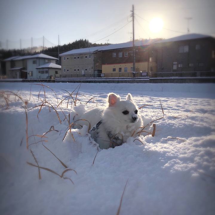 F2e2c671 9718 459d 821e aeee67430805 1608007704508