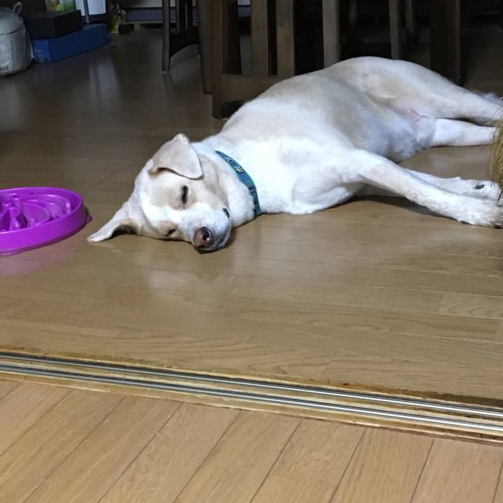 F2e2d4de 8bb7 4dd7 859b a0bef2b851a4 1537102487416