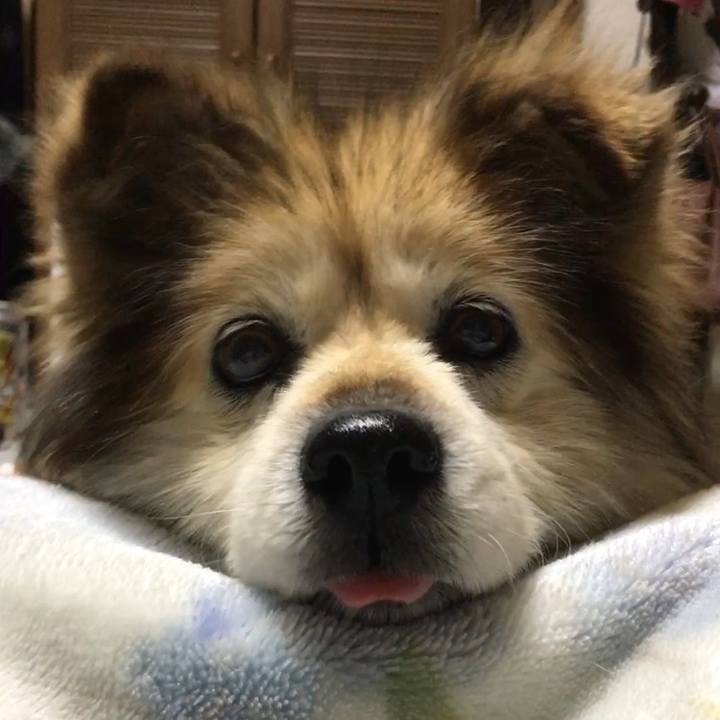 F2e2ec1d 5511 445e a690 8e82d02e4b83 1547882480816