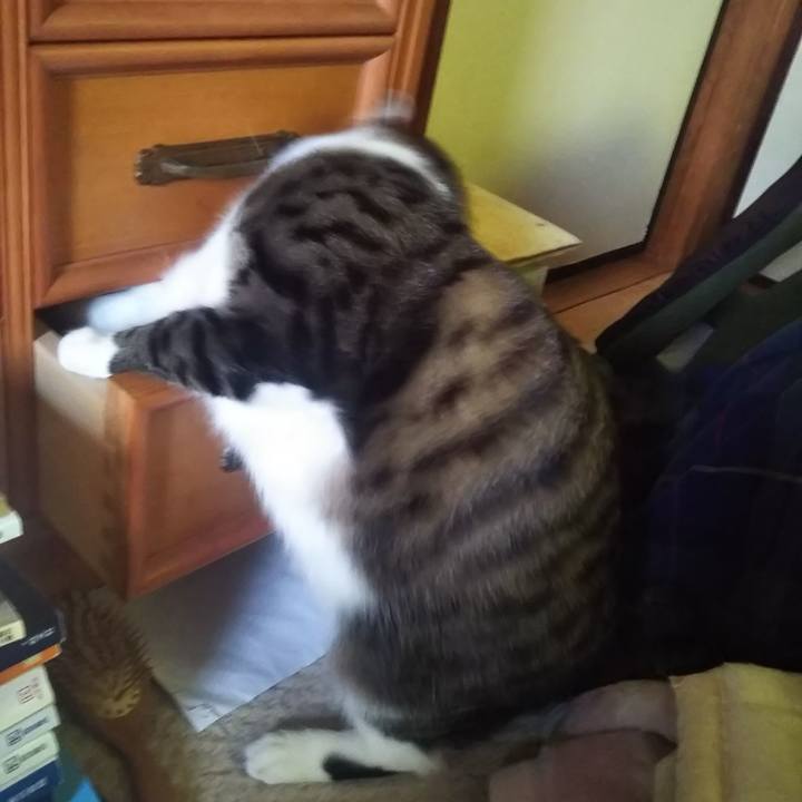 F2e30068 148a 4558 9543 957060b36723 1610983988192