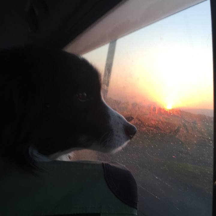 F2e359b3 d4e0 491d 9952 cf87374e3a08 1546814054015