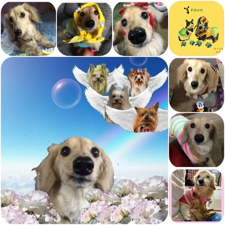 F2e3675c 7518 46fd 8001 3615e663258f 1718538484912