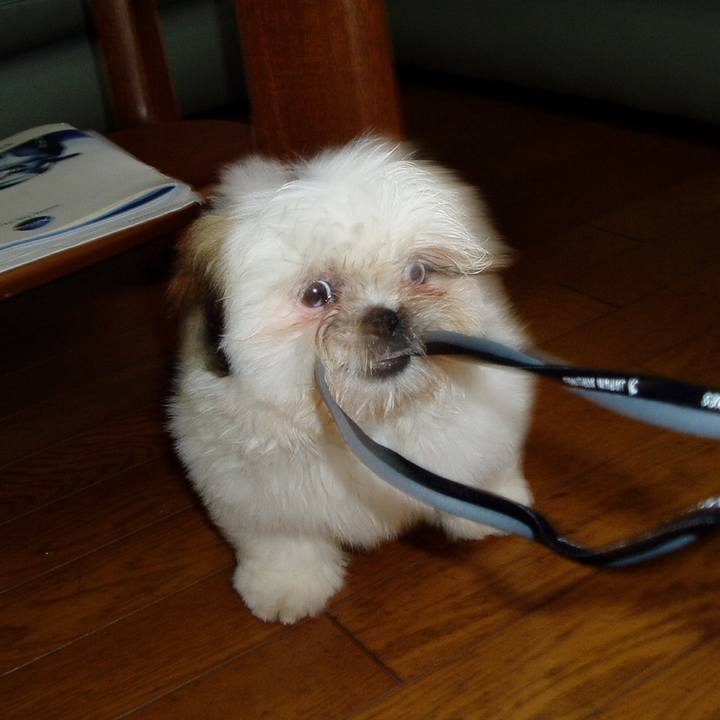 F2e37aac 706f 4719 bc95 ceaf89413cbf 1552358262938