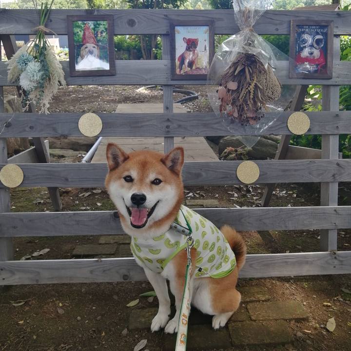 F2e3acce fb8b 4d31 9b3d 7e6b81f476f7 1685199917531