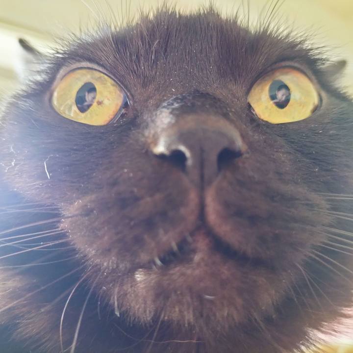 F2e3e2c7 3701 4bfb 98a8 6b50662fbe59 1708729987194