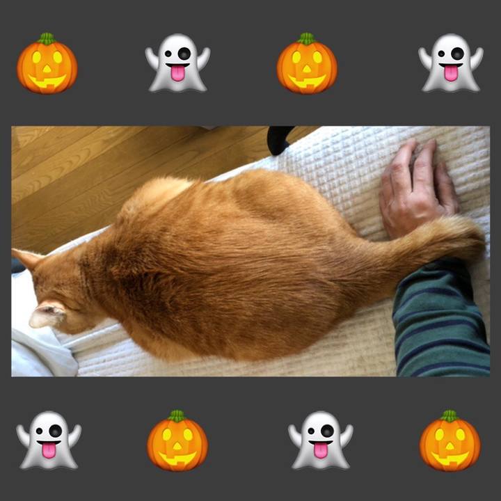 F2e3fe63 d16e 4261 b8b4 c554b10ad58a 1602294686772