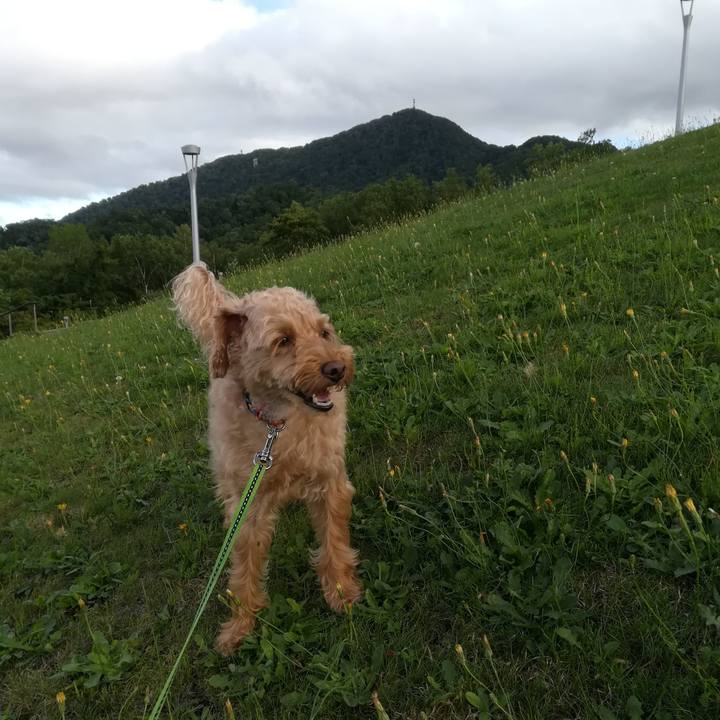 F2e47d95 f319 4157 87f1 45865fee430a 1566640275037