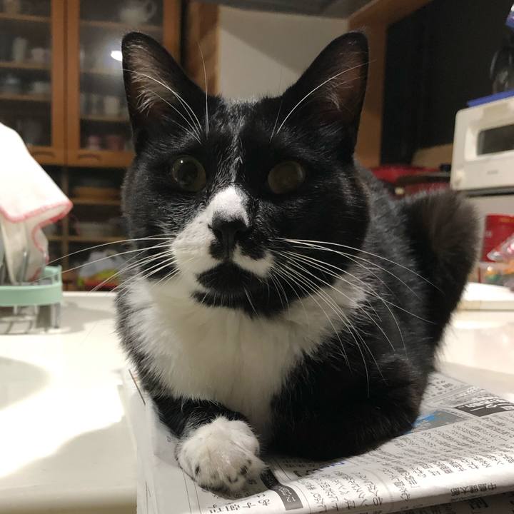 F2e498c4 8b47 4081 8b0d cb328480c3e7 1632111094286