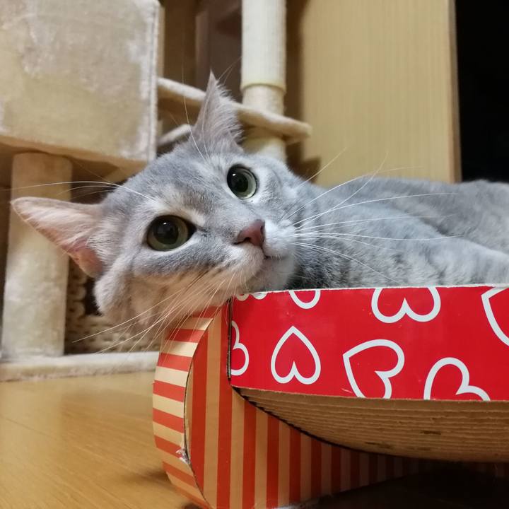 F2e4eac5 ecd8 452e a9f1 5e96b6bce8d6 1547301054742