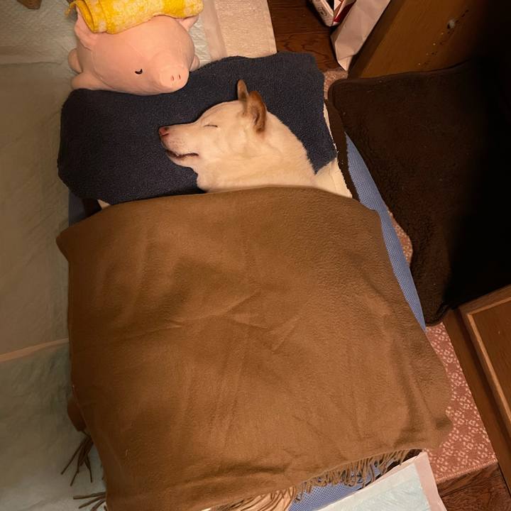 F2e4f28d aafb 4525 9cd8 960e79762090 1635523288216