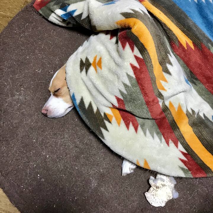 F2e4f51d bee1 4058 8c81 91322e2a9a5a 1546006471127