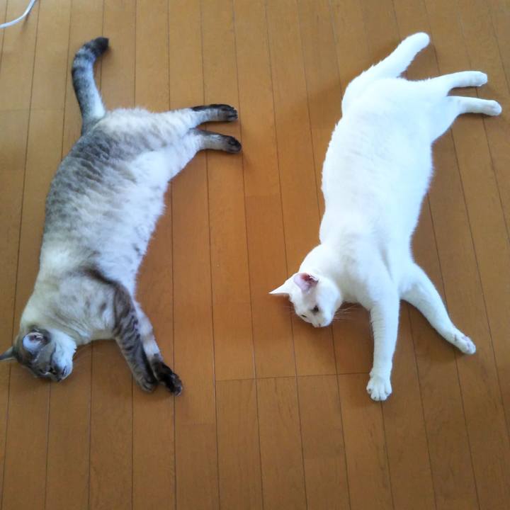 F2e548c2 0f24 476e 8c40 2871a0d3c113 1532648318996