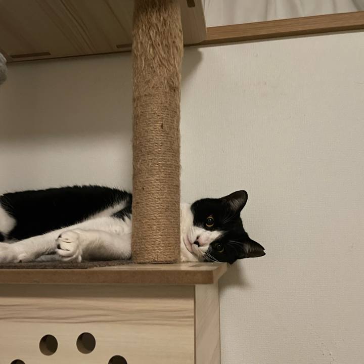 F2e55dac 9e7c 4844 b4a2 4b68c152e6e7 1705186664332