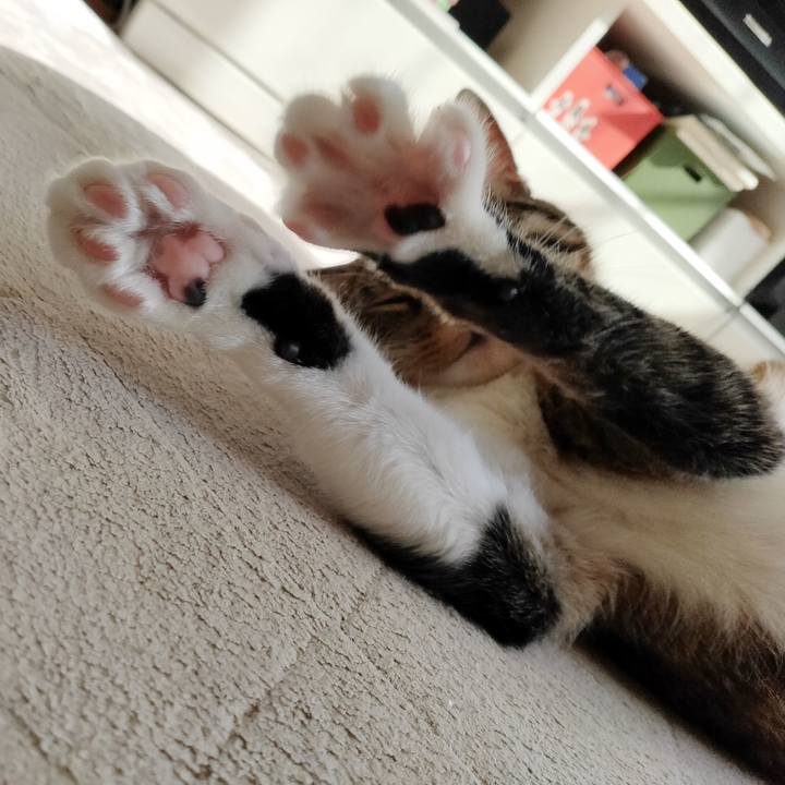 F2e5722b 54a4 418a 979c f8a748d22942 1668388335945