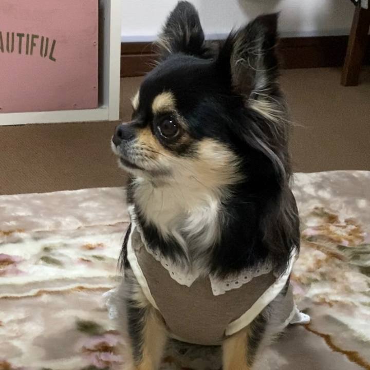 F2e58979 8173 4962 9fe3 deec6a880893 1610925787830