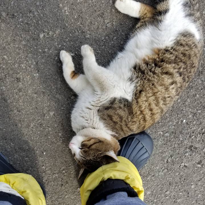 F2e59a04 547e 4c2c 965e 86cbdaf69e31 1584356220182