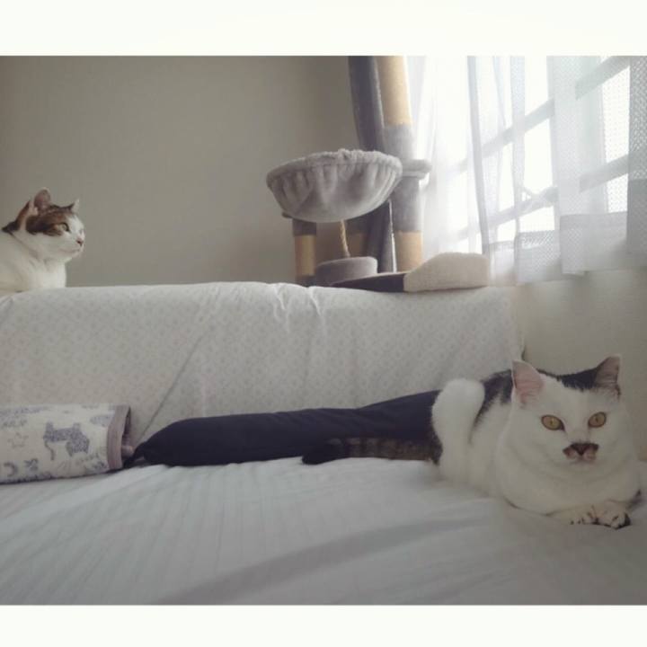 F2e5dde1 593e 4e87 938e 3ff976ff56a6 1594902059312