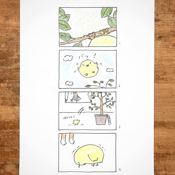 F2e62eb4 acf3 4e66 a2ae cbe965197194 1718597897605