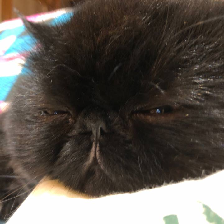 F2e63b46 c783 496b a2ab 8a9ef7ce5d34 1567263626919