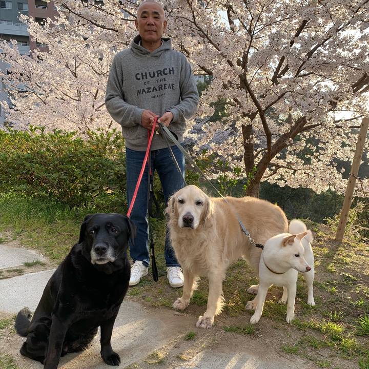 F2e6519f 9fef 47ad b5ac ebace6fea51c 1554421281988