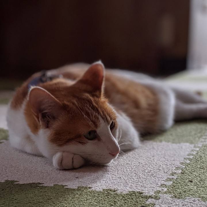 F2e69dcb 944d 419a a19b b9583de839ad 1564930733363