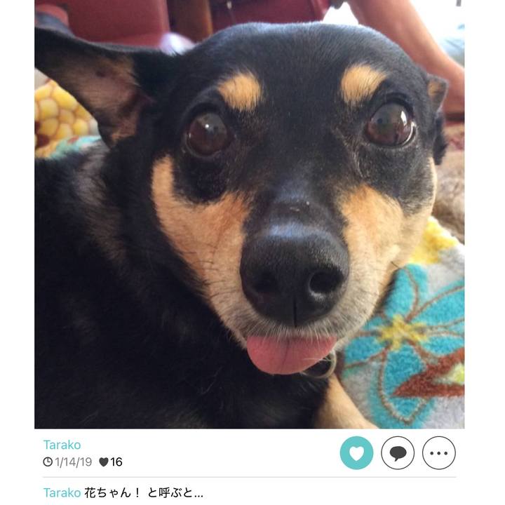 F2e6f289 2f5d 458e 96d2 67420a1a166e 1768481626916