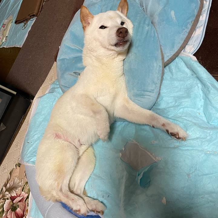 F2e70016 850f 4588 871c 4249843a21bf 1660748343989