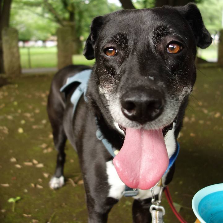 F2e72d53 24a0 4979 b306 dc026aab1179 1719361990254