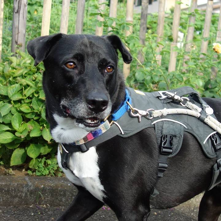 F2e73c08 f500 48e0 a52f 65b2704cb9a6 1658447867399