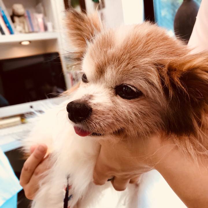 F2e78758 4442 449d aec8 e30fff6fe0eb 1529635381942