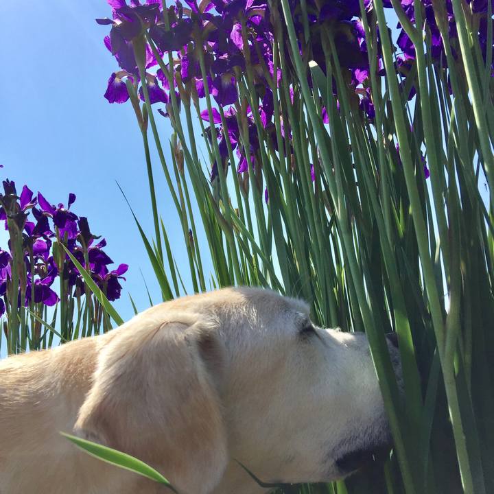 F2e7928a 0cb2 4db2 b3ce 481befc9534d 1526950239896