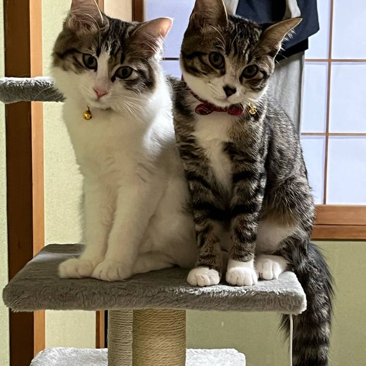 F2e7a417 4158 4df4 acdc 954d7e3f4a5a 1694413555644