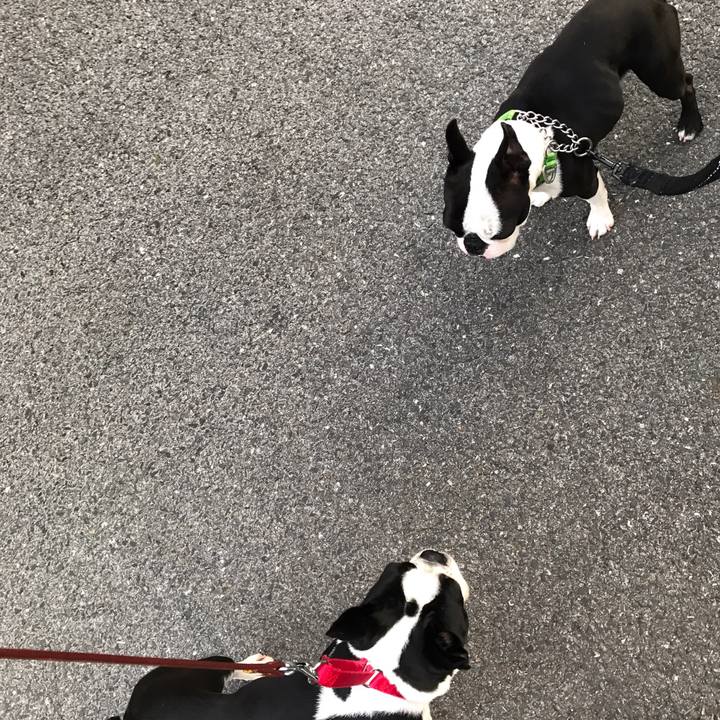 F2e7c459 5f25 4afe 8c30 58326350262e 1524840334741