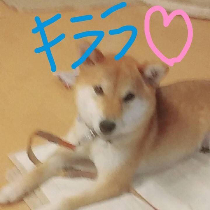 F2e7db68 c020 49f9 9852 f10aea8b0b3a 1533807977096