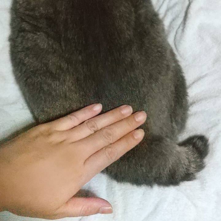 F2e7e7e9 7425 49eb 98f9 d3c11415fb76 1663593711775