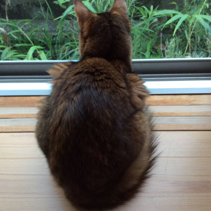 F2e7fd26 ed36 4618 a14c 632e90b65cc4 1567199325096