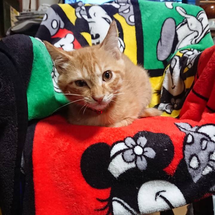 F2e82e65 ba85 49c3 9bc5 8519963f28b2 1632394831332