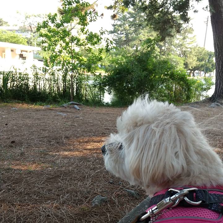 F2e8497a d817 498b 9870 066afb4a3d79 1622286583366